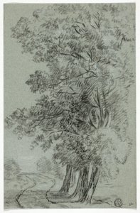 木を通り過ぎる道 作： Pieter Gaal
