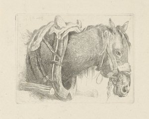 馬の頭の研究 作： Pieter Gerardus van Os
