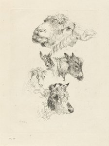 羊、馬、ロバ、雄羊、雄牛の頭の学習シート 作： Pieter Gerardus van Os