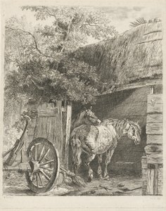 納屋の 2 頭の馬