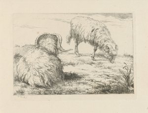 牧草地で 2 つのラム 羊とヤギ（シリーズタイトル） 作： Pieter Gerardus van Os