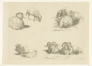 羊とヤギの4つのパフォーマンス 羊とヤギ（シリーズタイトル） 作： Pieter Gerardus van Os