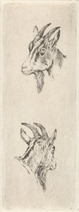 バックヘッド 作： Pieter Janson