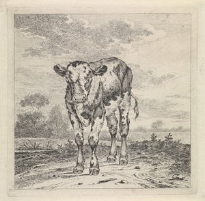 ふくらはぎのある風景 作： Pieter Janson