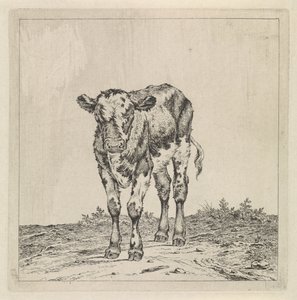 ふくらはぎのある風景 作： Pieter Janson