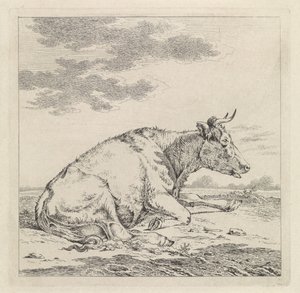 横になっている牛、右側 作： Pieter Janson
