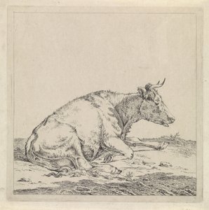 横になっている牛、右側 作： Pieter Janson