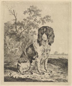 座っているヤマウズラ犬 作： Pieter Janson