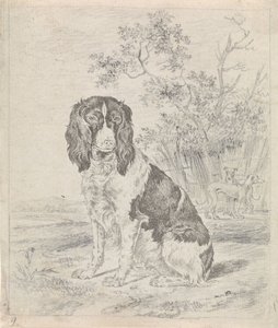 座っているヤマウズラ犬 作： Pieter Janson