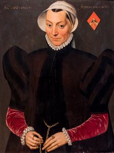 45歳の女性の肖像 作： Pieter Jansz. Pourbus