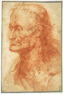 老人の頭の習作、1602年頃。 作： Pieter Paul Rubens