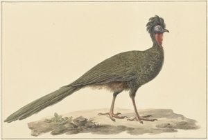 ペネロペ、床に 作： Pieter Pietersz. Barbiers