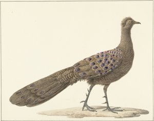 シュピーゲルパウ 作： Pieter Pietersz. Barbiers