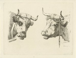 2 つの牛の頭 作： Pieter Roosing