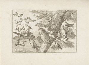 ブームのUil en andere vogels 別の鳥（シリーズタイトル） さまざまな鳥の最も完璧な姿 (...) (シリーズのタイトル)