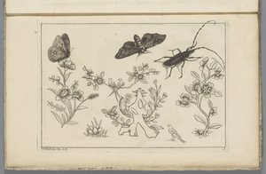 鳥、蝶、昆虫と 3 つの花の枝 中国の花と昆虫（連載タイトル）