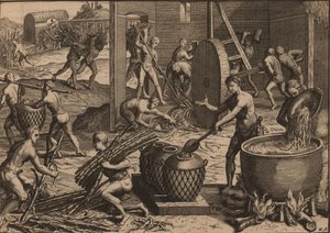 奴隷はサトウキビを加工して砂糖を作る。 作： Pieter Van der Aa