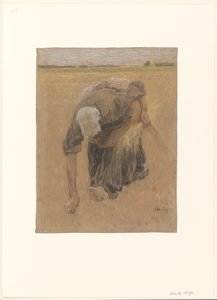 鷲読みの女 作： Pieter de Josselin