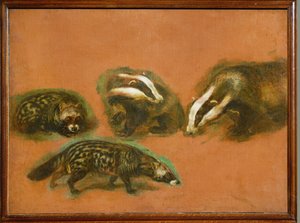 ハクビシンとアナグマ（キャンバスに描かれた絵） 作： ピーターまたはピーター・ボエル