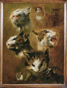 猫、ウサギ、ヤギの頭（キャンバスに描かれた絵） 作： ピーターまたはピーター・ボエル
