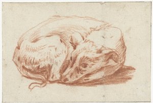 横たわっている犬 作： Pieter van Bloemen