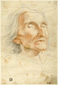 目を閉じた老人の顔 作： Pietro Dandini