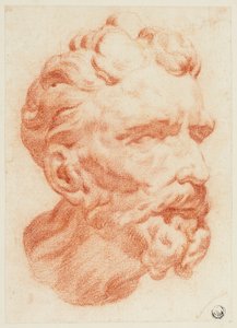 髭を生やした男性の頭部、右から4分の3横顔 作： Pietro Dandini