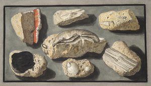 ウィリアムハミルトン卿（1730-1803）による「カンピフレグレイ：2つのシチリアの火山に関する観察」からのヘルクラネウムのプレートXXXXVとその周辺で発見されたトゥファの標本、1776年発行