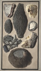 ウィリアムハミルトン卿（1730-1803）による「カンピフレグレイ：2つのシチリアの火山に関する観測」からの火山物質の標本、1776年に出版（手書きの彫刻） 作： Pietro Fabris