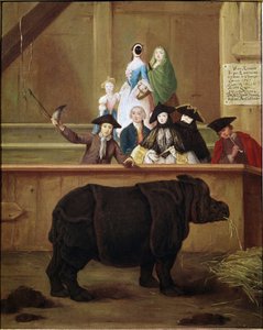 犀：クララ、インドサイの展示。ピエトロ・ロンギ（1702-1785）の絵画。1751.18世紀のヴェネツィアの美術館。カ・レッツォーニコ、ヴェネツィア