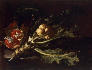 カリフラワーとポメグラネイト 作： Pietro Paolo Bonzi