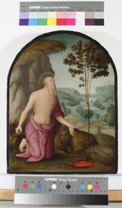 荒野の聖ヒエロニムス、1510〜15年頃 作： Pietro Perugino