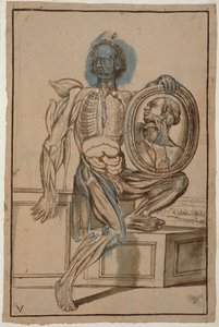 Ms Hunter 653 Plate V Anatomical Drawing、c.1610（紙に鉛筆とチョーク）