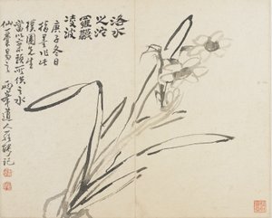 風景、花、鳥：水仙、清王朝 作： Luo Ping