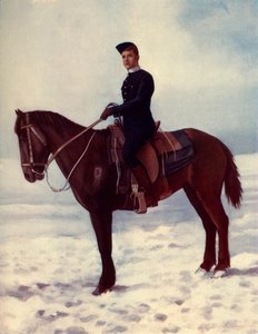 「ストラスコーナの馬」、1900 年。 作： Pittaway