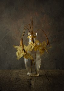 ムーディな花の静物画