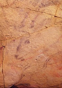 小さなクワガタの頭、アルタミラ洞窟、紀元前15000〜8000年（洞窟壁画） 作： Prehistoric