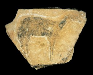 黒い雌鹿、パルパルロ洞窟、スペイン、後期旧石器時代（絵画 作： Prehistoric Prehistoric