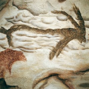ヌーの岩絵、フランス、ドルドーニュ地方ラスコー洞窟、上部旧石器時代（マグダレニアン）約13000年前（絵画 作： Prehistoric Prehistoric