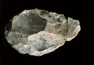 両角のフリント、上部旧石器時代（フリント 作： Prehistoric Prehistoric