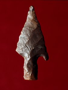 エジプトの古代人：エジプトのファユーム（FayyumまたはFayum）の遺跡から出土した矢の先端。先代の時代。イタリア・ヴェローネ市民自然史博物館蔵 作： Prehistoric Prehistoric