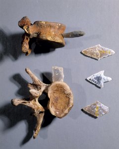 先史時代の骨が入った火打ち石（国立古代博物館蔵 作： Prehistoric Prehistoric