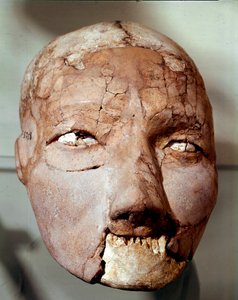 新石器時代の美術品：石器時代（紀元前6000〜4000年）の人間の頭蓋骨。ヨルダン、アンマンの考古学博物館、ジェリコより 作： Prehistoric Prehistoric