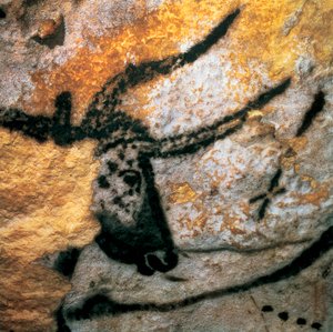 オーロックス（絶滅したウシ科の動物）を描いた頭頂部の絵、ラスコー洞窟の「雄牛の間」、フランス・ドルドーニュ地方モンティニャック、旧石器時代のマグダレニアン期（絵画 作： Prehistoric Prehistoric
