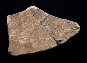 鹿を表すペトログリフ、スペイン、パルパルロ洞窟。上部旧石器時代、ソルトリーン（彫刻 作： Prehistoric Prehistoric