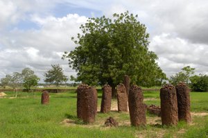 先史時代。ガンビアのワスから出土した巨石のサークル（写真 作： Prehistoric Prehistoric
