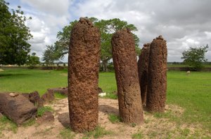 先史時代。ガンビアのワスから出土した巨石のサークル（写真 作： Prehistoric Prehistoric