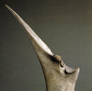 先史時代、ポラダ文化：ロナートのポラダ・トゥルビエールから出土した骨の先端。青銅器時代。ローマ、国立先史時代・民族誌博物館ルイジ・ピゴリーニ。 作： Prehistoric Prehistoric