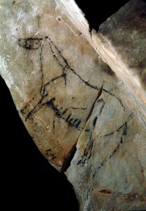 先史時代。「スタイルIVの岩絵、上部旧石器時代（マグダレニアン）（18000年前から14000年前の間） ラス・モネダスの石器時代の洞窟、サンタンデール、スペイン - 先史時代：馬。岩絵、スタイルIV、上部旧石器時代（マグダレニアン）（間 作： Prehistoric Prehistoric