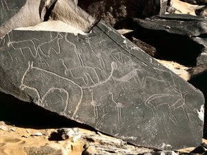 先史時代、ロックアート：ライオン、アンテロープ、ダチョウ、牛などが描かれた墓石。石器時代の紀元前5000-2000年。アルジェリア、Haut plateau du Hoggar、Taghit
